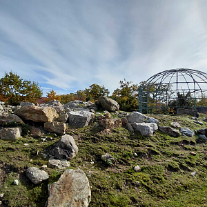 West Caucasian tur exhibit