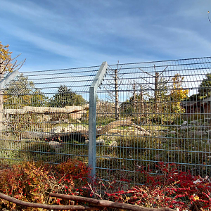 Himalayan brown bear exhibit