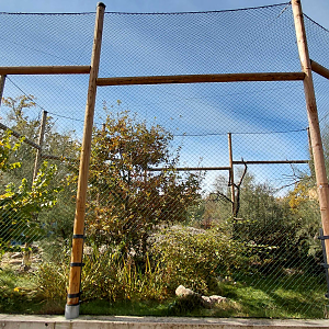 Egyptian vulture aviary