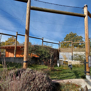 Demoiselle crane aviary