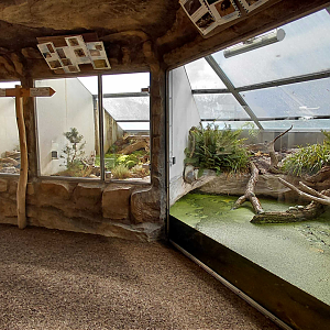 Terrarium building - general view