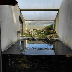 Terrarium - dice snake exhibit