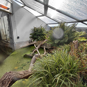 Terrarium - pond turtle indoor exhibit