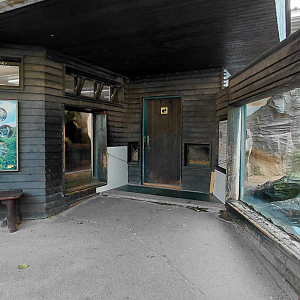 Eurasian otter exhibit