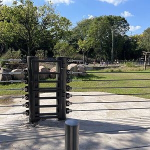 10/4/2025 - Future Black Rhino Habitat