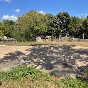 10/4/2025 - Future Rhino/Zebra Habitat