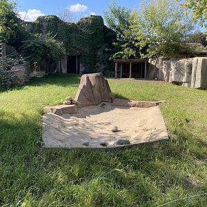 10/4/2025 - Future Red River Hog Habitat