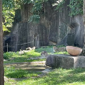 10/4/2025 - The Cheetah Girls