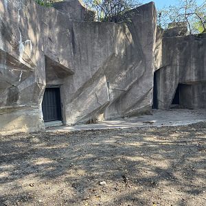 10/4/2025 - Former Asian Black Bear Den Doors