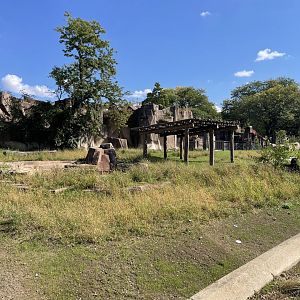10/4/2025 - Future Black Rhino Habitat