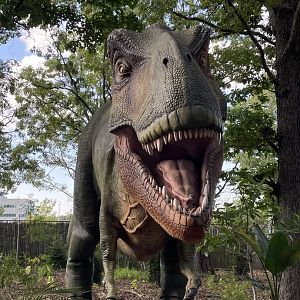 10/4/2025 - The Tyrant King