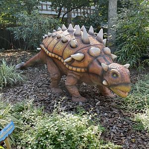 10/4/2025 - Euoplocephalus