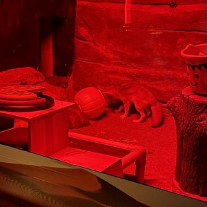 10/4/2025 - Trick or Treat!