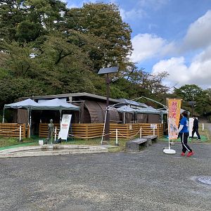 Akita Inu Viewing Area