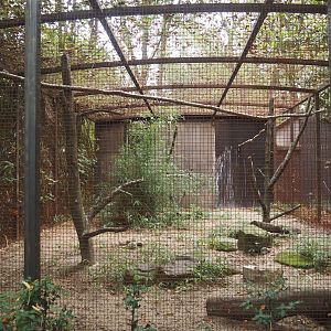 Spectacled owl aviary (Formerly home to macaws and vultures), 2025-10-19