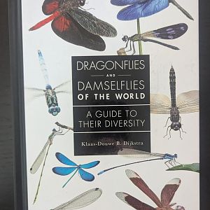 Dragonflies and Damselflies of the World: A Guide to Their Diversity