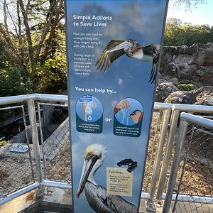 New Pelican Signage