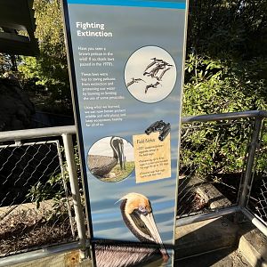 New Pelican Signage