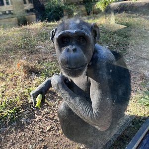 Gari getting some Sun