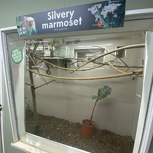 Indoor silvery marmoset enclosure and signage
