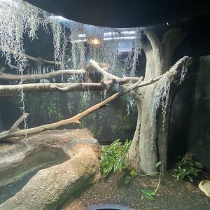 Boa exhibit