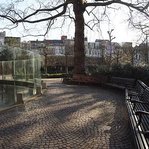 Walkway and benches next to the mandrill outdoor exhibit, 2024-03-09