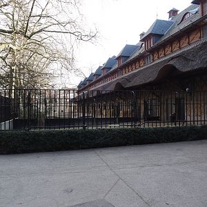 Historical bovine house, now rhinoceros and zebra house, and Grant's zebra separation paddock, 2024-03-09