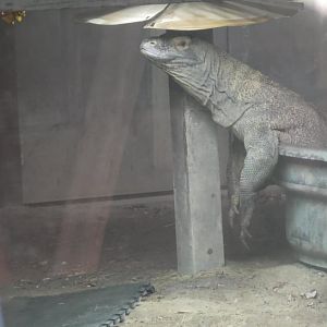 Look at me i got a new hat