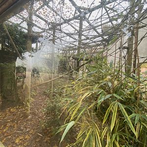 Outdoor Emperor tamarin enclosure