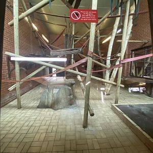 1st indoor Francoi’s langur enclosure