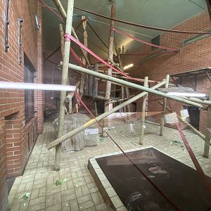 2nd indoor Francoi’s langur enclosure