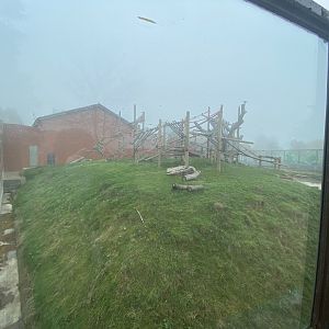 Outdoor Francoi’s langur enclosure