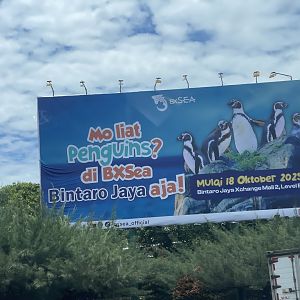 BXSea’s penguins billboard ad