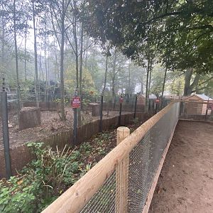 Michie’s tufted deer enclosure