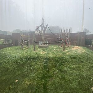 2nd Bornean orangutan enclosure