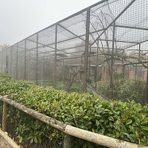 Parrot aviaries
