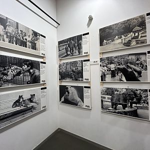 Historical Exhibition for Centennial