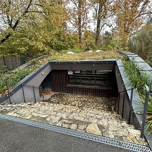 Indoor Pelican Exhibit