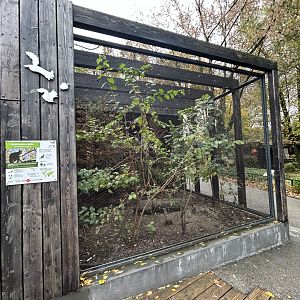 European Wildcat Exhibit