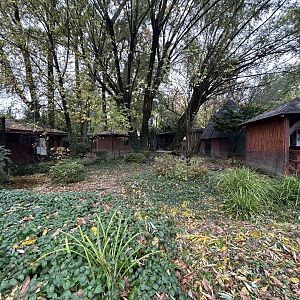 Cape Barren Goose Exhibit