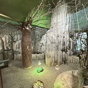 Madagascar Exhibit in Gift Shop