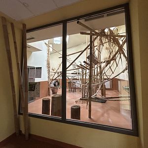 Indoor Ring-tailed Lemur Exhibit