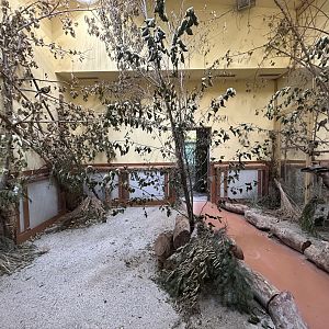 Indoor Madagascar Birds Aviary