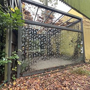 Madagascar Birds Aviary