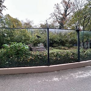 Giant Anteater Exhibit