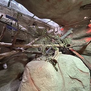 Indoor Meerkat & Rock Hyrax Exhibit