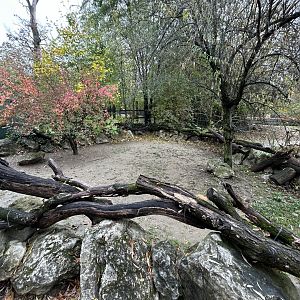 African Spurred Tortoise Exhibit
