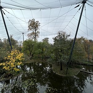 African Water Bird Aviary