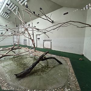 Indoor African Water Bird Exhibit