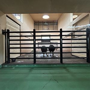Indoor Zebra & Ostrich Exhibit